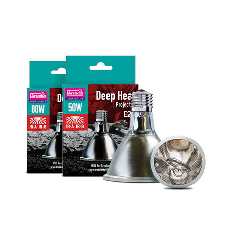 Arcadia Deep Heat Projector Reptile Basking Bulb Arcadia