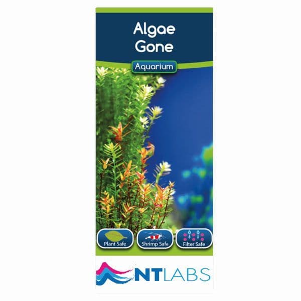 NT labs Algae Gone 100ml the Pet MARKET