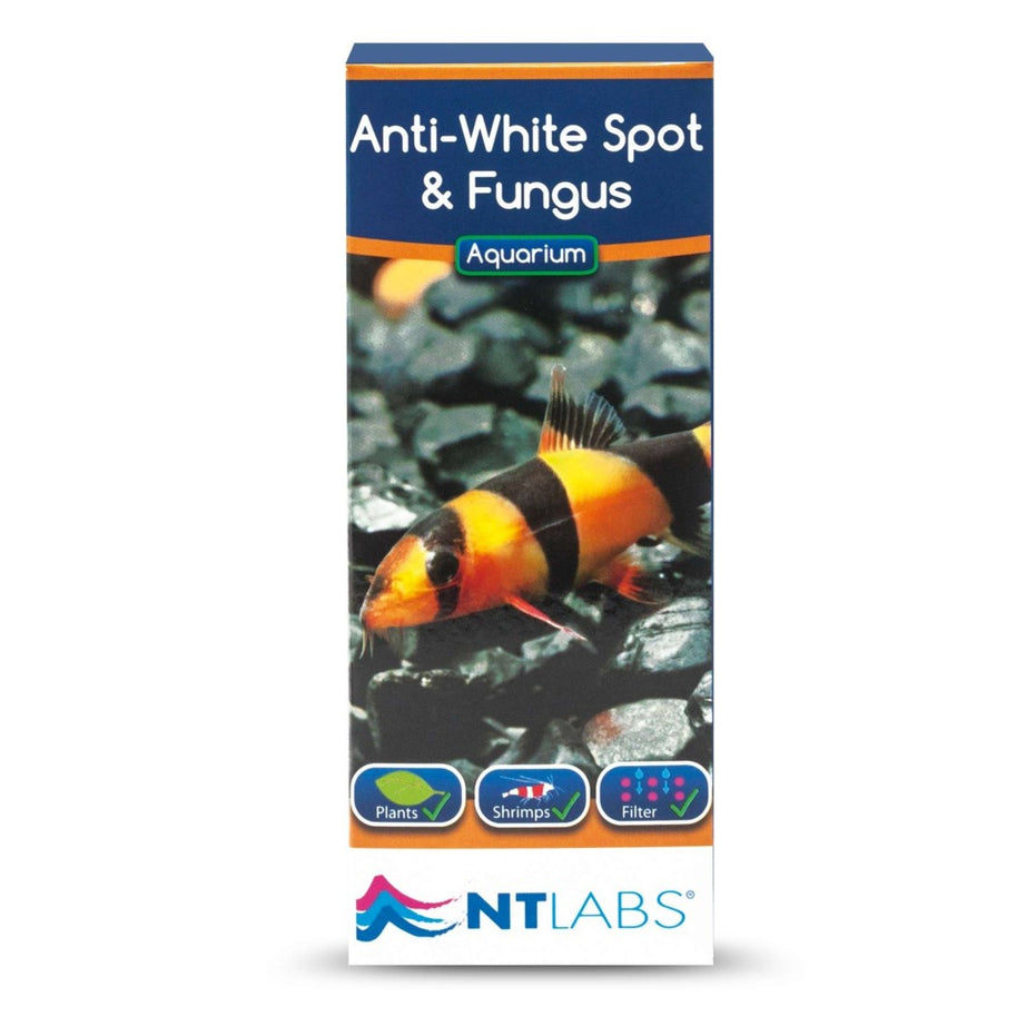 Anti White Spot & Fungus 100ml Fish Treatment King British