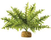 Exo Terra Boston Fern Small