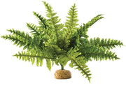 Exo Terra Boston Fern Medium