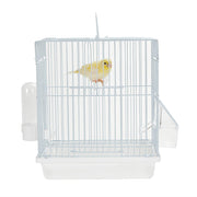 1899 - Mali Carrier Bird Cage Sky