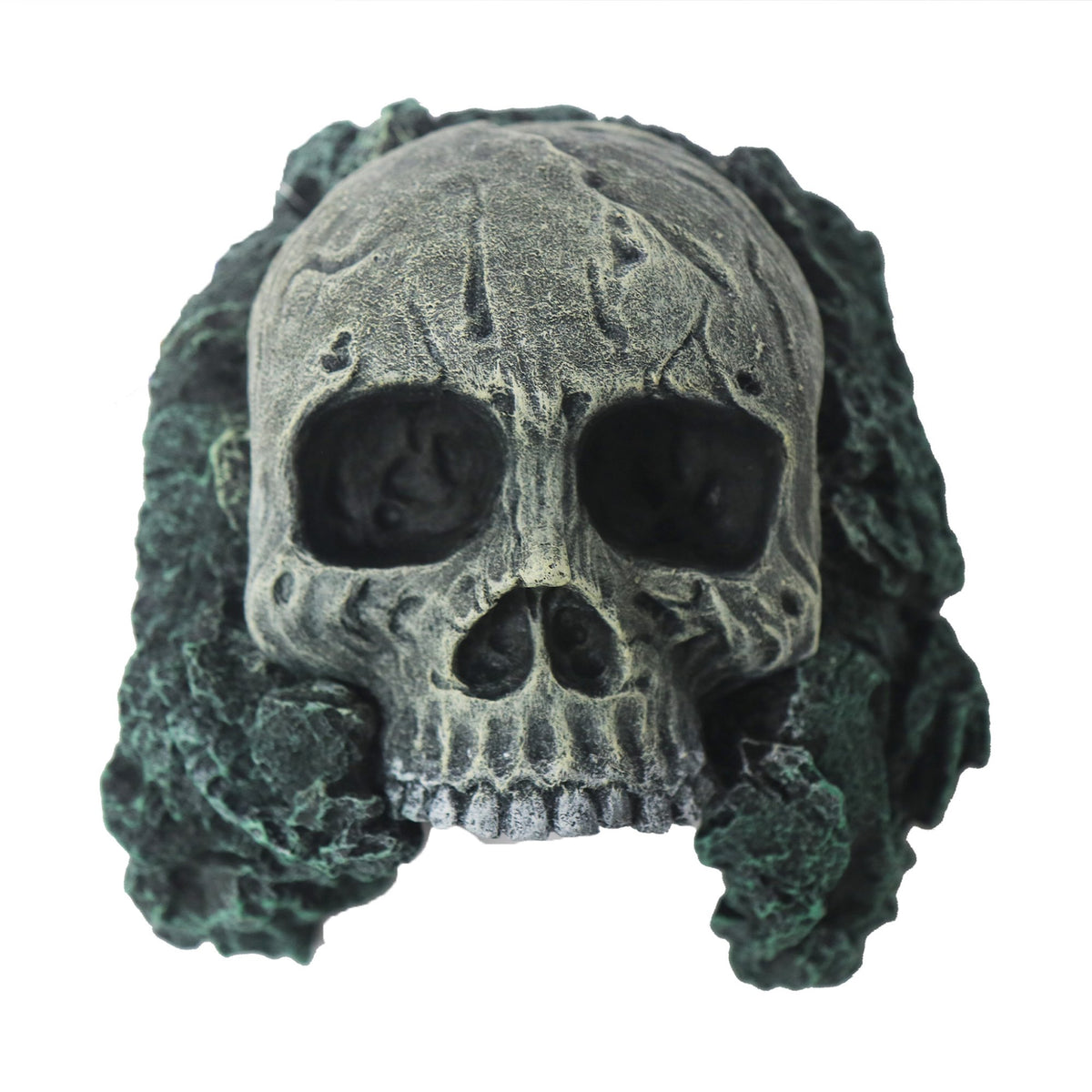 Betta Skull Cave Pet Market