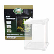 Betta Terra White Mini Terrarium 16 x 16 x 21cm Pet Market