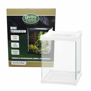 Betta Terra White Mini Terrarium 16 x 16 x 21cm Pet Market