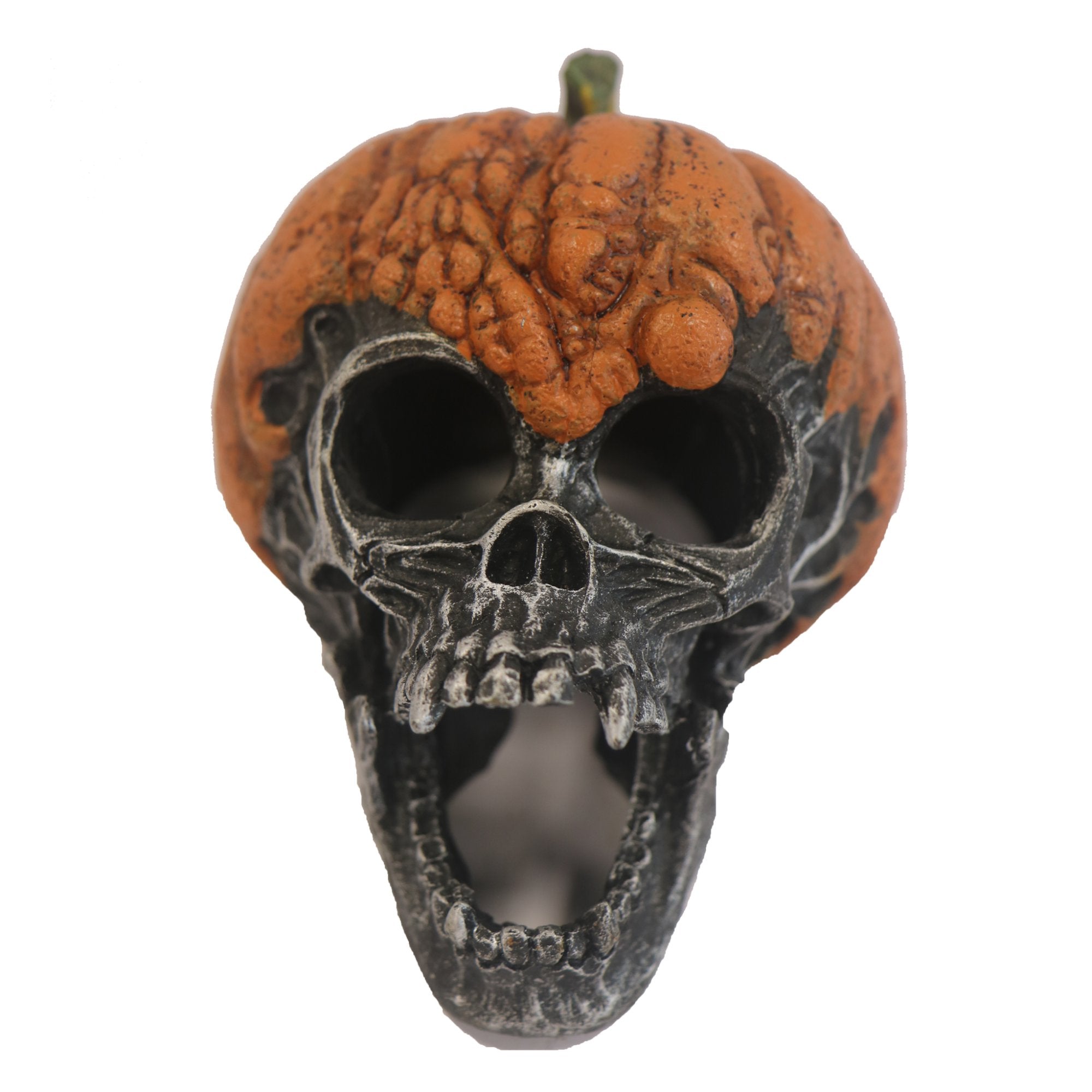 Betta Pumpkin Skull