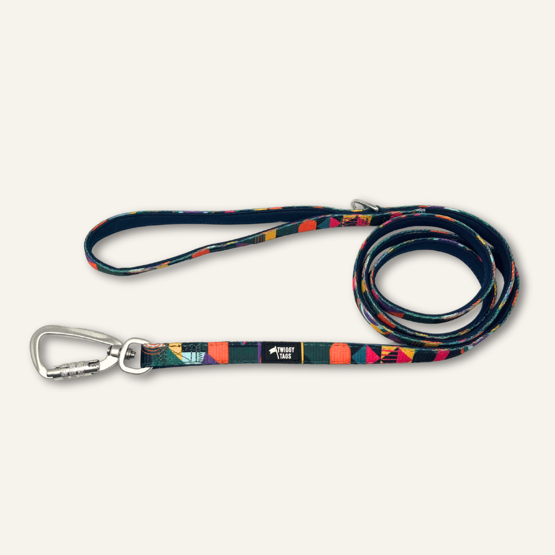 Twiggy Tags Adventure Lead Small 1.5m Dog accessories Twiggy Tags Aurora