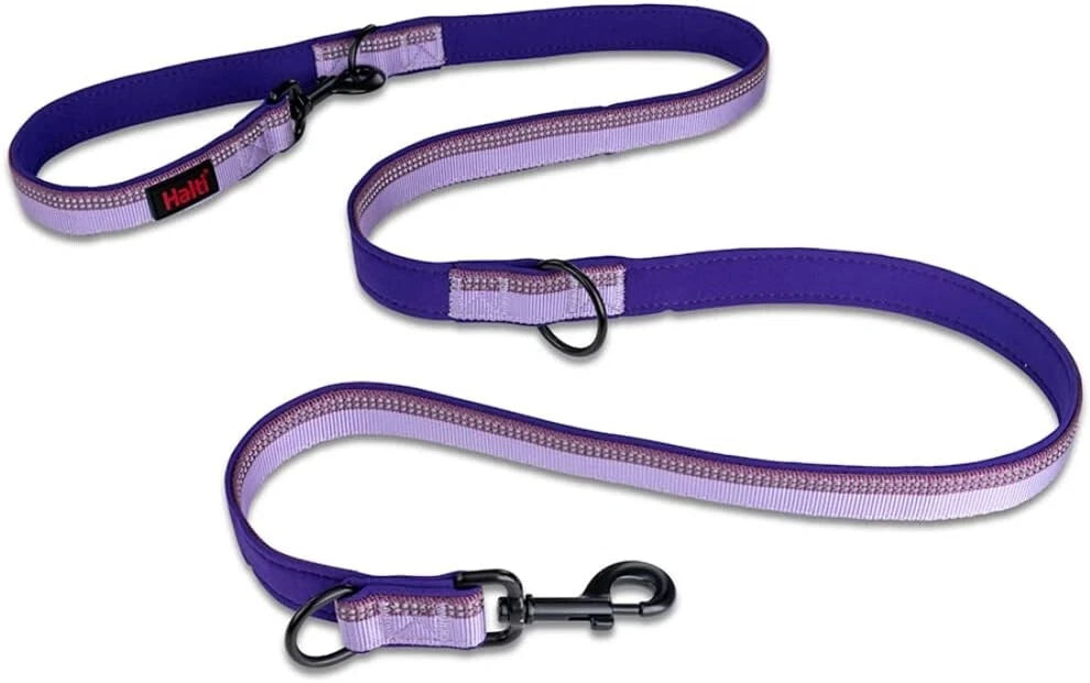 HALTI Double Ended Dog Lead - Purple Pet Market