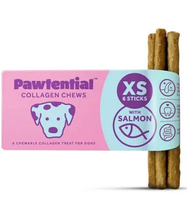 Pawtential xs salmon Pet Market