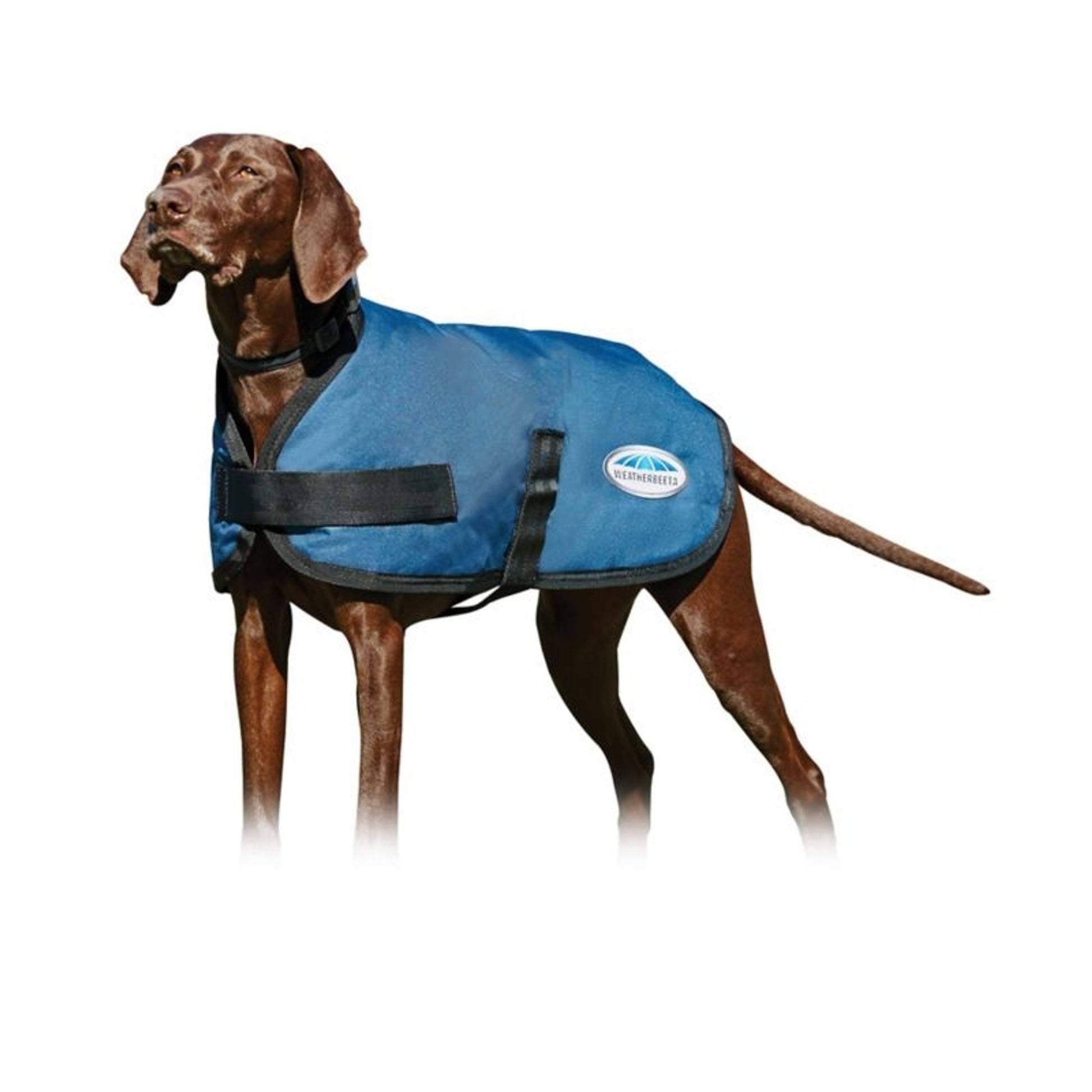 Weatherbeeta ComFiTec Classic Dog Coat the Pet MARKET