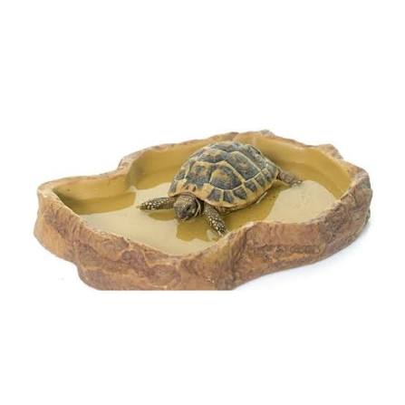 Exo Terra Feeding Dish Reptile Food Bowl Exo Terra Medium