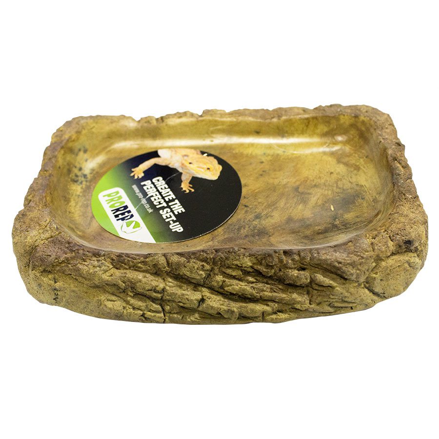 Prorep Tortoise Feed Dish L Pet Market