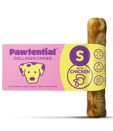 Pawtential small chicken Pet Market