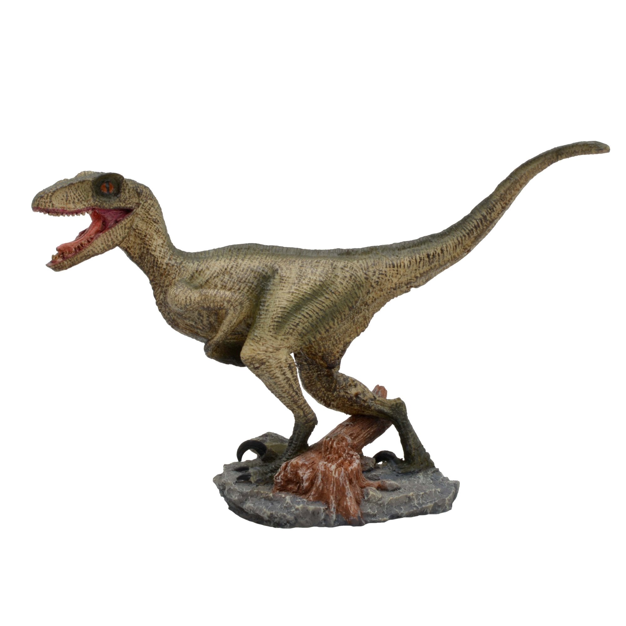 Velociraptor Dinosaur