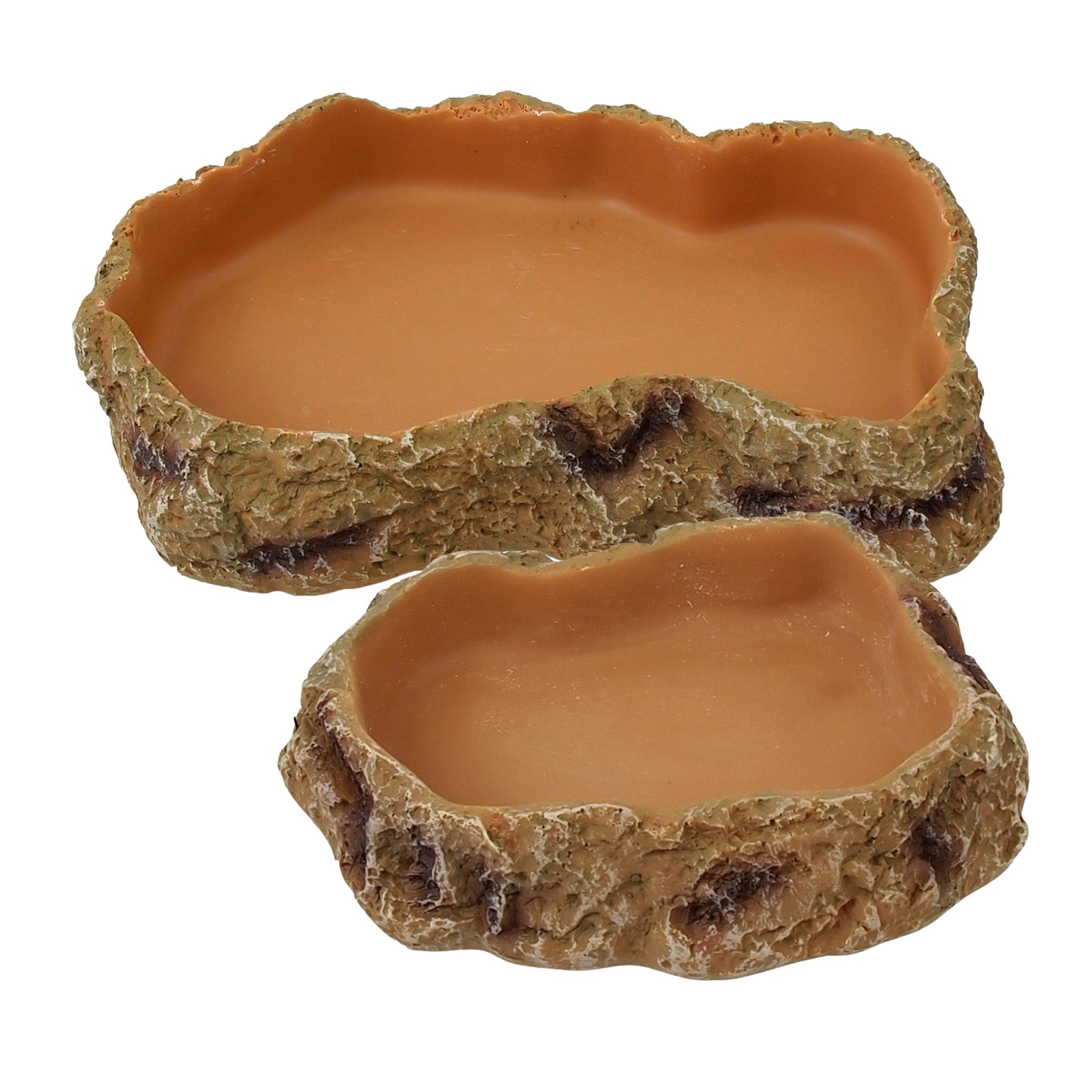 Repti food dish XS the Pet MARKET