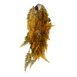 Betta terra green/yellow fern the Pet MARKET