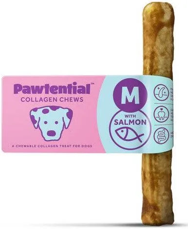 Pawtential medium salmon Pet Market