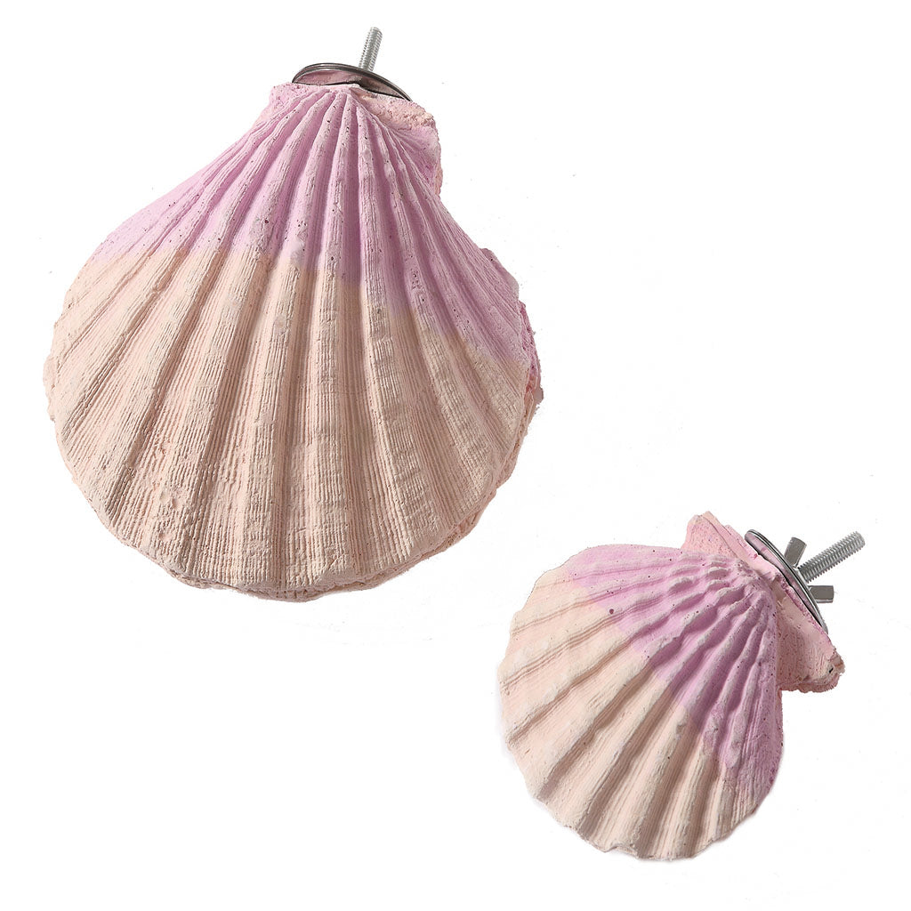 Edible Clam Calcium Small - 7747 Sky