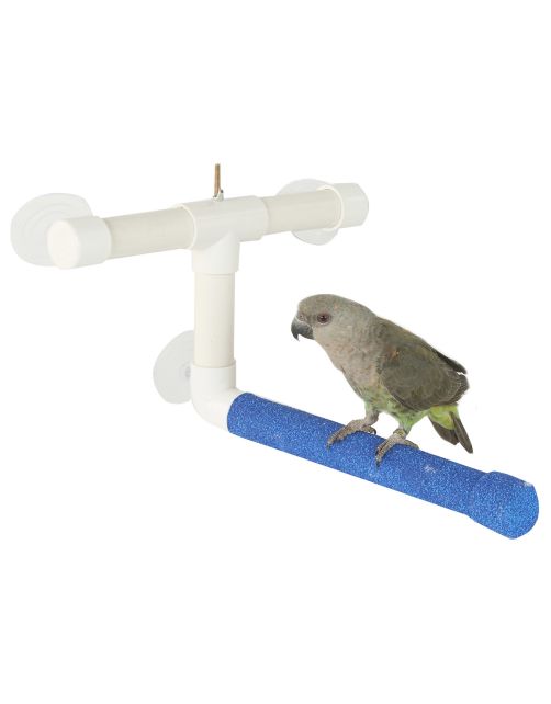 Window & Shower Perch Small (7741) Bird Perch Sky