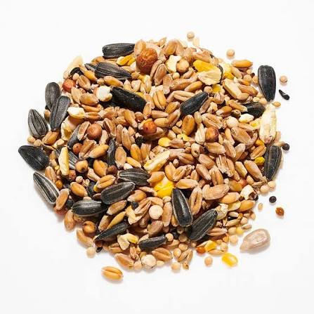 Countrywide Garden Wild Bird Bird feed Country Wide 2kg