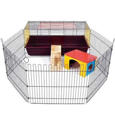 Rabbit 100 with run Pet Market