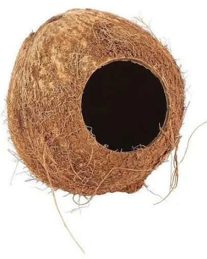 Coconut Hut the Pet MARKET