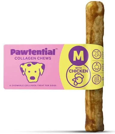 Pawtential medium chicken Pet Market