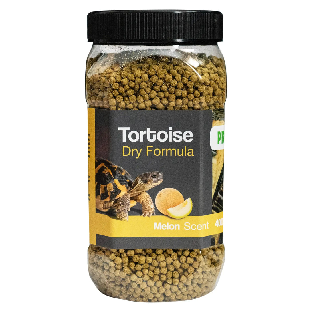 Tortoise Dry Formula - Melon Scent- 400g Bird - Treat Pet Market