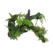 Extra Large Root and Plants Pet Market