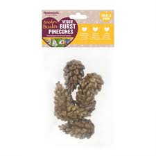 Veggie Burst Pine Cones the Pet MARKET