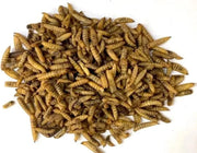 Johnston & Jeff Dried Calciworms Bird food Johnston & Jeff