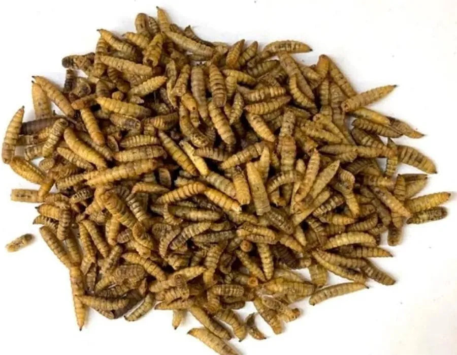 Johnston & Jeff Dried Calciworms Bird food Johnston & Jeff