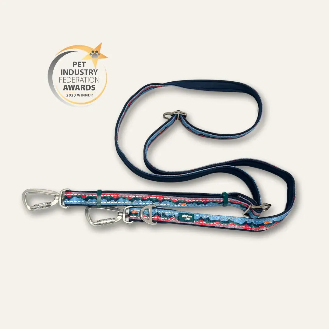 Twiggy Tags Trailfinder Multiway Lead Dog accessories Twiggy Tags Sierra