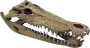 Deco Crocodile XXL Pet Market