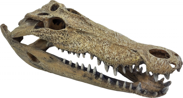Deco Crocodile XXL Pet Market