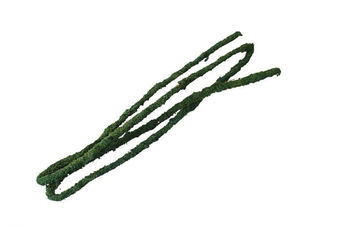 Komodo Tropical Vine Large - 1.8m x 20mm Green (82707) Pet Market