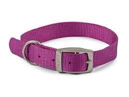 VIVA COLLAR Dog accessories Ancol Purple 20-26cm Size 1