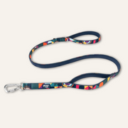 Twiggy Tags Adventure Lead with Close Control Handle 1.5m Dog accessories Twiggy Tags Aurora