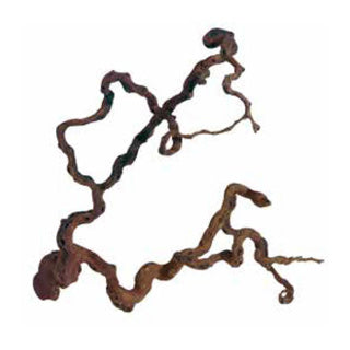 Winewood Vavarium decor vavarium Ornament Aquadeco