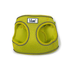 VIVA STEP-IN HARNESS Dog accessories Ancol S/M Green