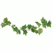 Komodo Magnetic Adhesive Grape Hanging Vine Pet Market