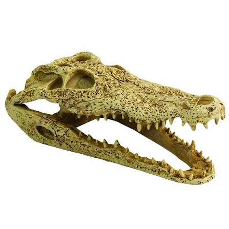 Pro Rep Crocodile Skull Reptile Hide Exo Terra
