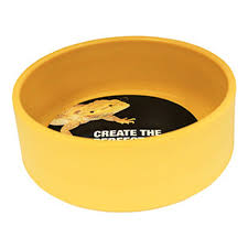 Prorep Plastic Water Dish M Pet Market