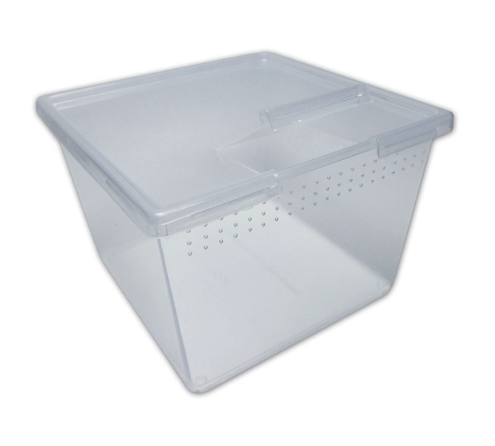 PL Square Container w/Flip Lid 24oz Pet Market