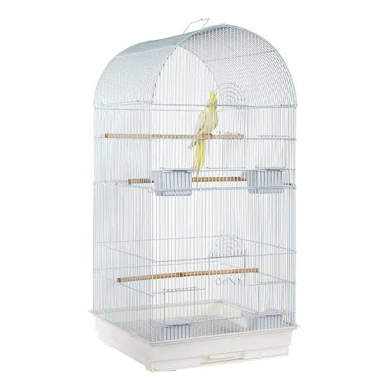 Sky Caracus White Bird Cage with spacious design and metal bars for small to medium birds.
