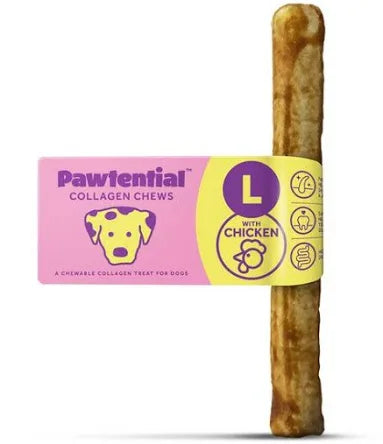 Pawtential large chicken Pet Market