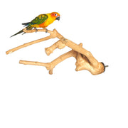 Java Multibranch Medium (6052) Perch Sky