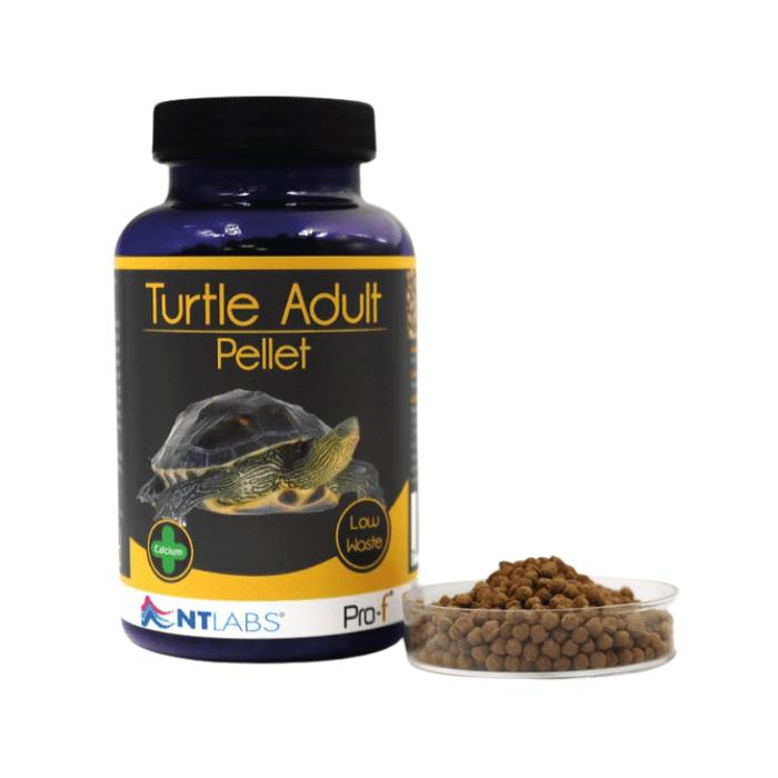 Turtle Junior Pellet 45g Fish-Food NT Labs