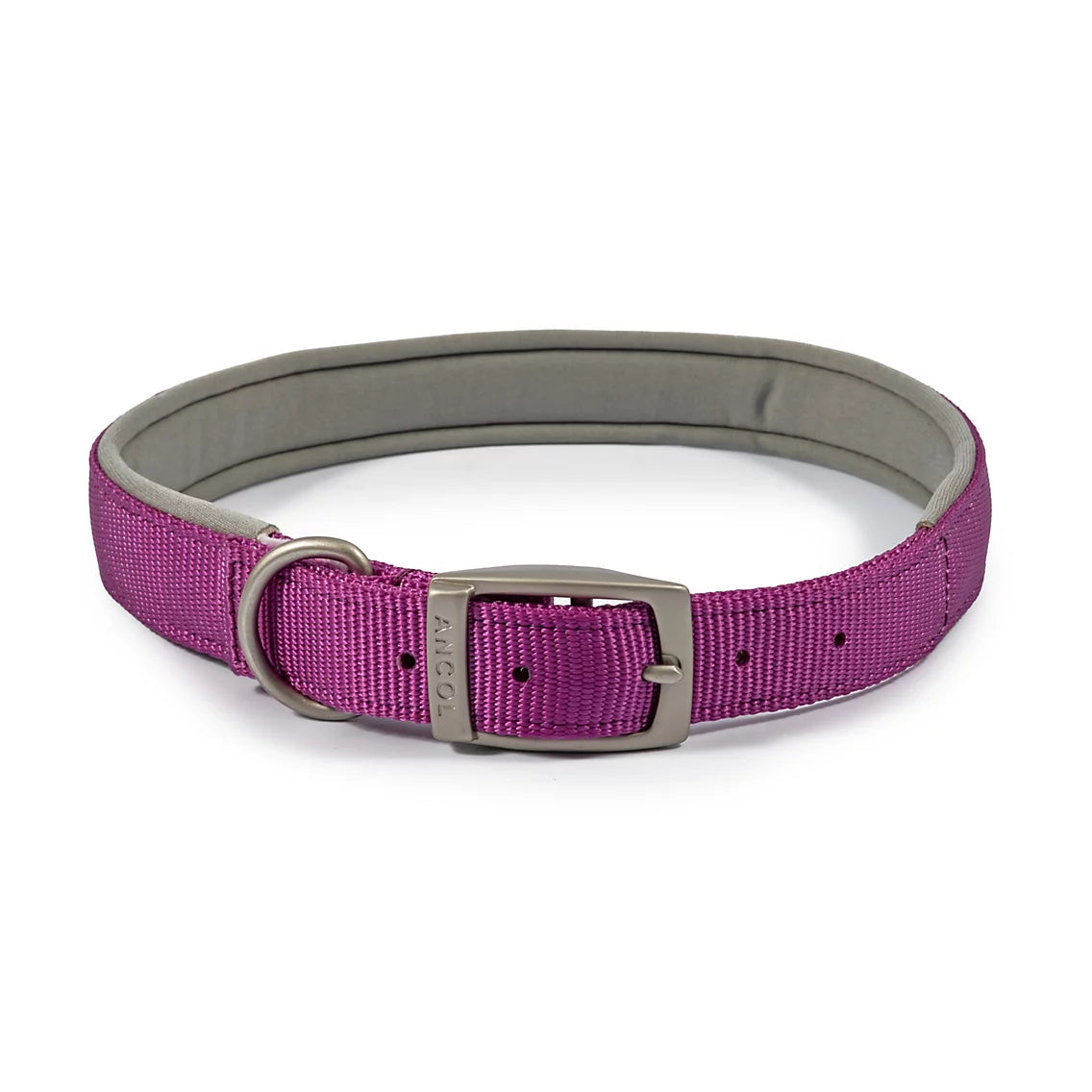 PADDED VIVA COLLAR Dog accessories Ancol Purple 35-43cm size 4
