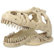 Reptiplanet T-Rex Skull Pet Market